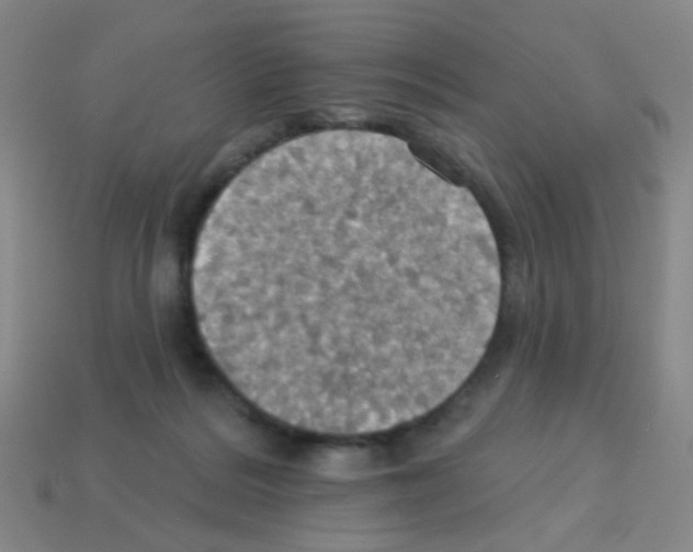 X0000113230220200910221046