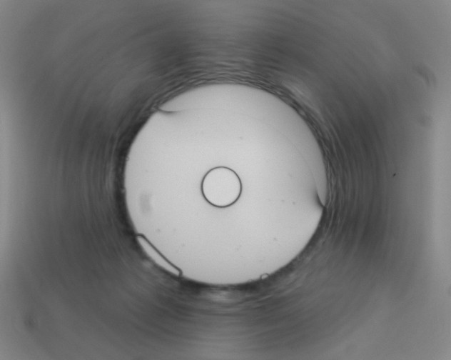 X0000113230221200910221046