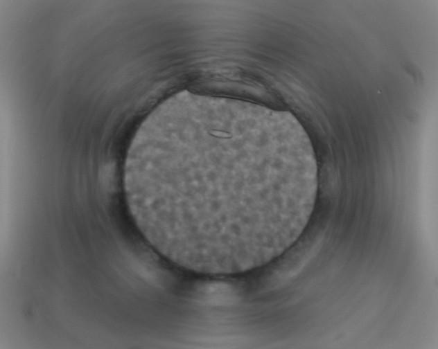 X0000113230224200910221046