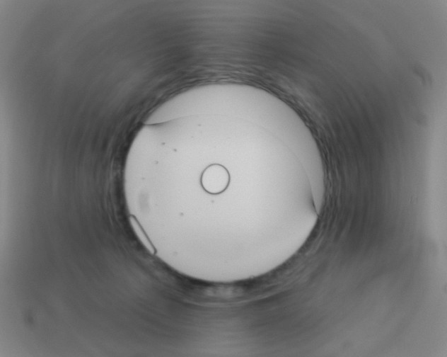 X0000113230225200910221046