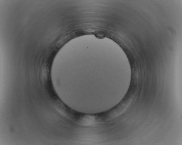 X0000113230227200910221046