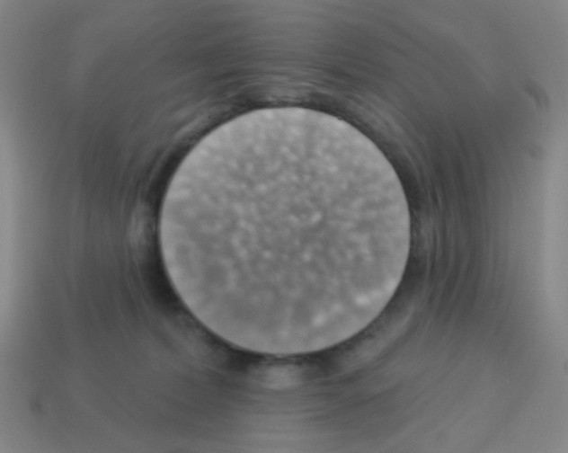 X0000113230228200910221046