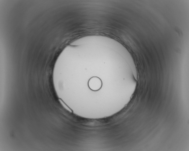 X0000113230229200910221046