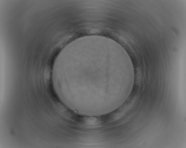 X0000113230230200910221046