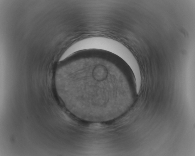 X0000113230231200910221046