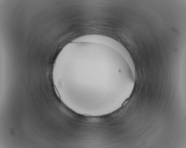 X0000113230233200910221046