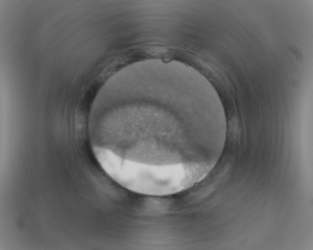 X0000113230234200910221046