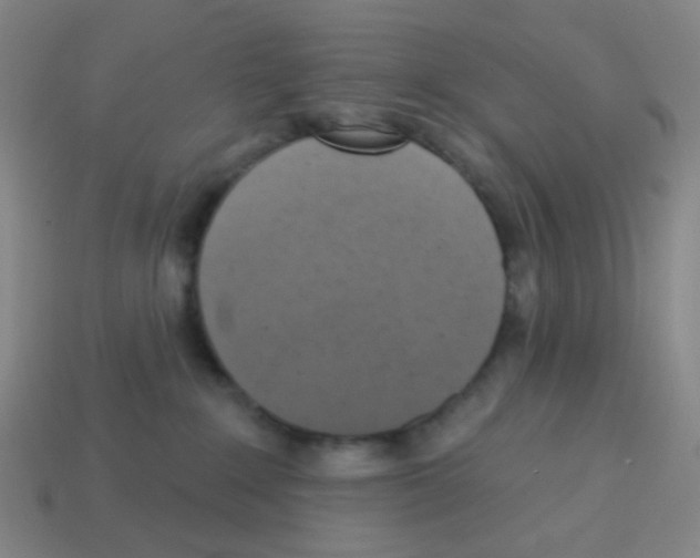 X0000113230235200910221046