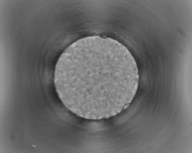 X0000113230236200910221046