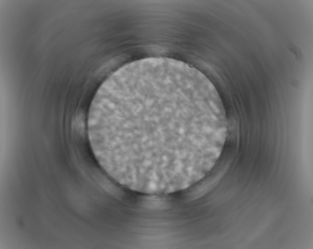 X0000113230238200910221046