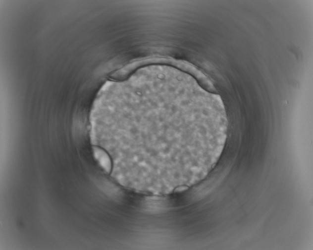 X0000113230240200910221046