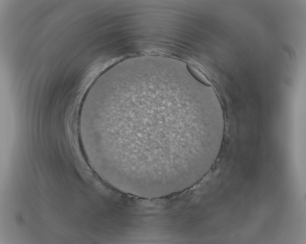 X0000113230241200910221045