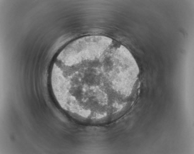 X0000113230242200910221045