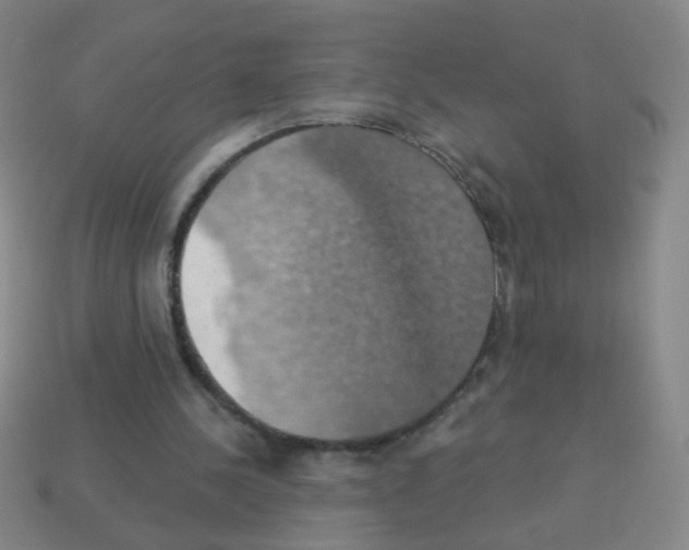 X0000113230244200910221045