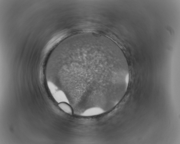 X0000113230245200910221045