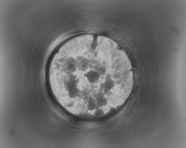 X0000113230246200910221045