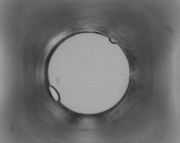 X0000113230248200910221045