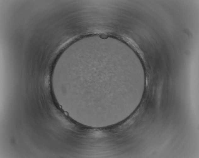 X0000113230249200910221045