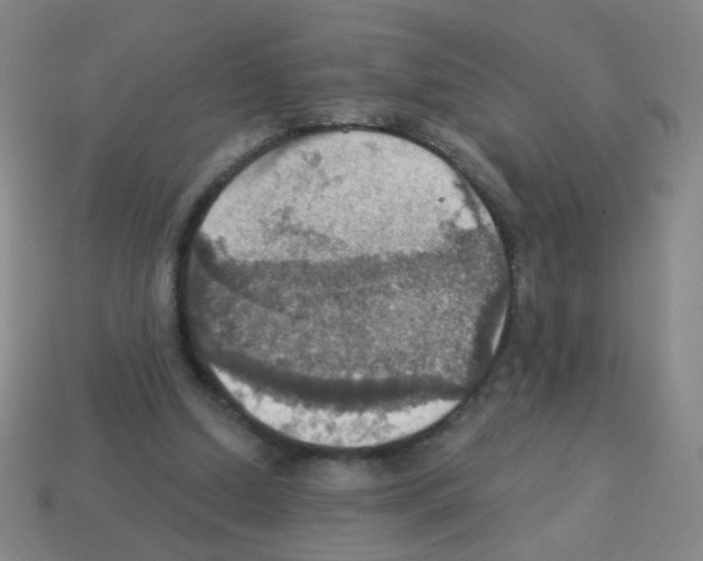 X0000113230250200910221045