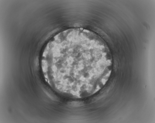 X0000113230251200910221045