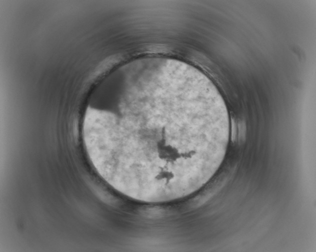 X0000113230253200910221045