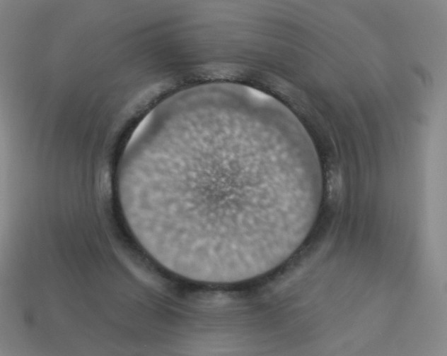 X0000113230254200910221045