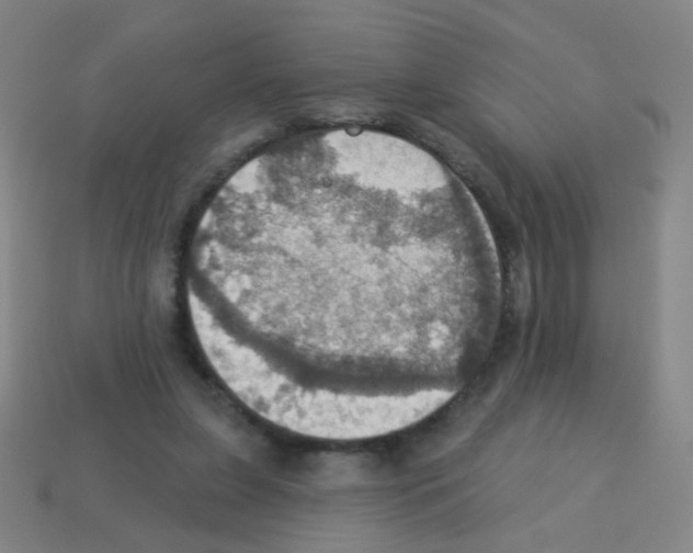 X0000113230255200910221045