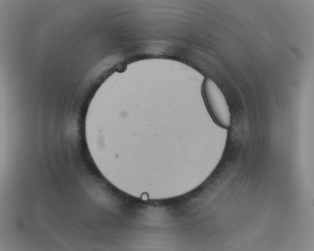 X0000113230256200910221045