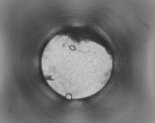 X0000113230257200910221045