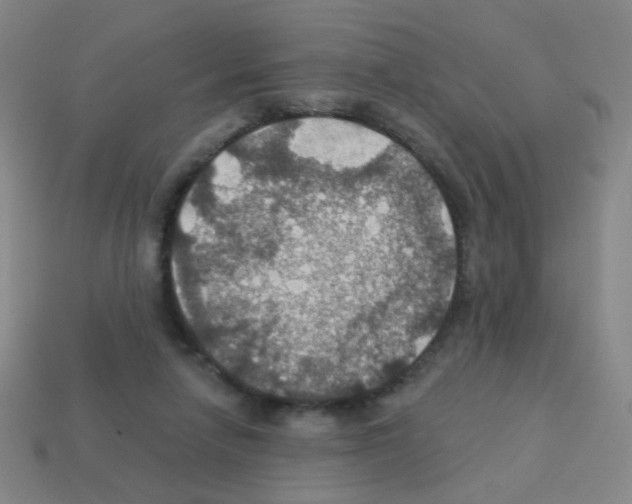 X0000113230258200910221045