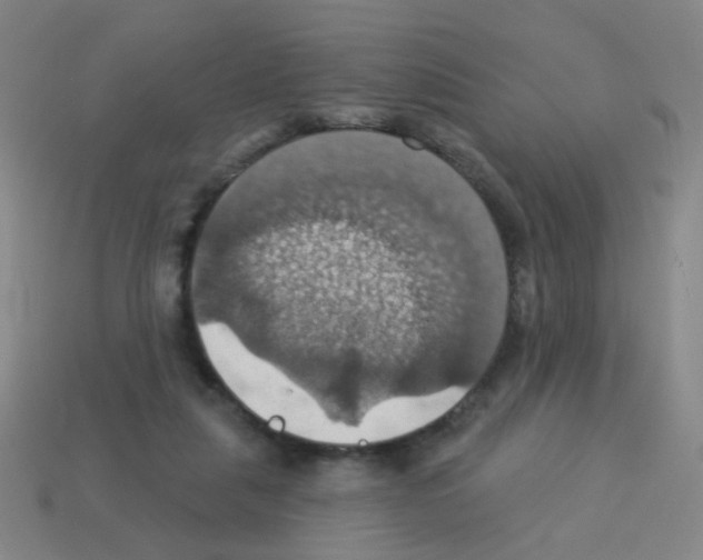 X0000113230259200910221045