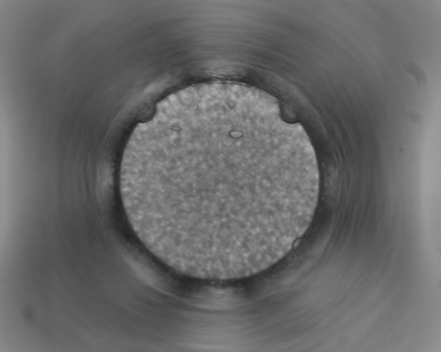 X0000113230260200910221045