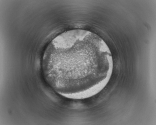 X0000113230262200910221045