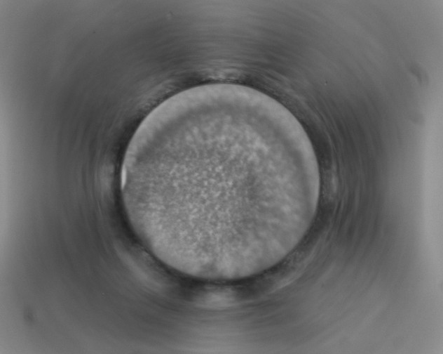 X0000113230263200910221045