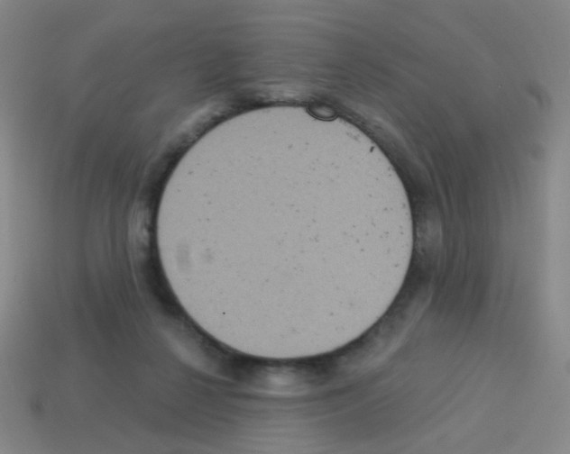 X0000113230264200910221045