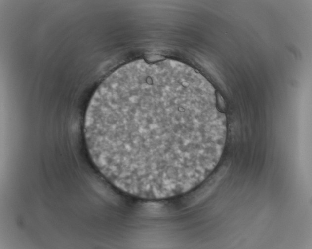 X0000113230265200910221045