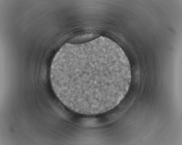 X0000113230266200910221045