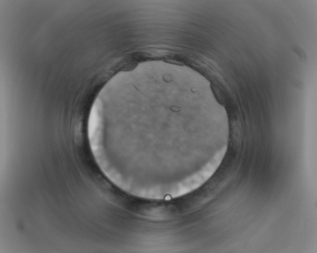 X0000113230267200910221045