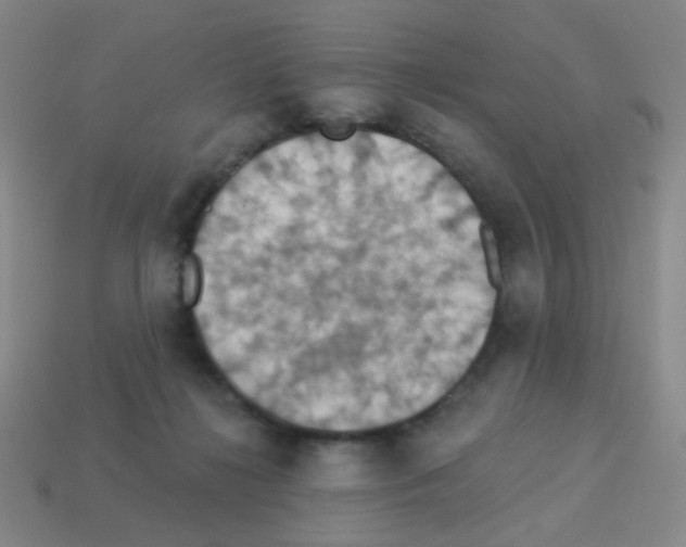 X0000113230268200910221045