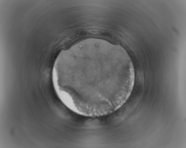 X0000113230271200910221045