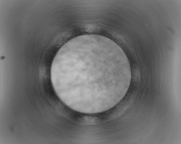 X0000113230272200910221045