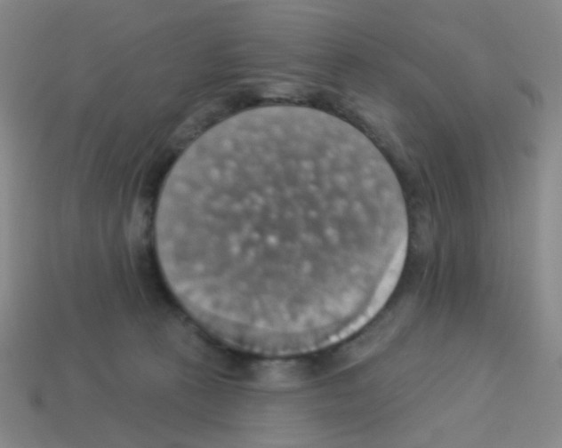 X0000113230273200910221046