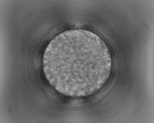 X0000113230274200910221046