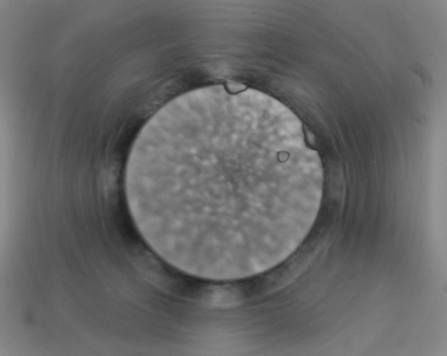 X0000113230275200910221046