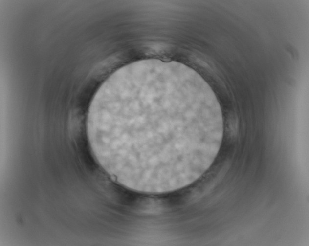 X0000113230276200910221046