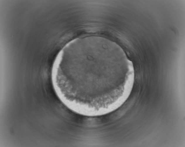 X0000113230277200910221046