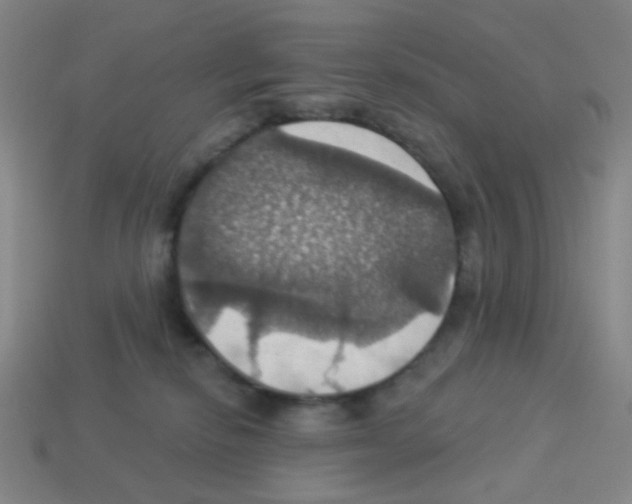 X0000113230278200910221046