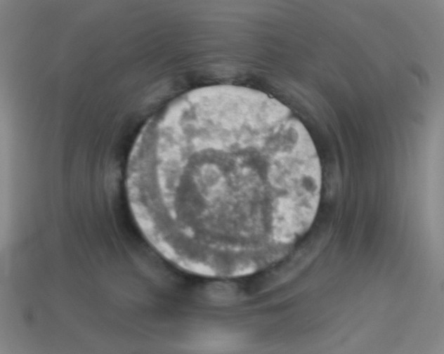 X0000113230279200910221046