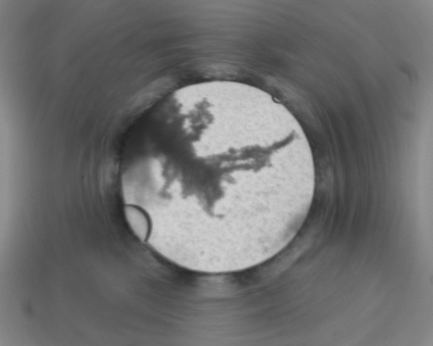 X0000113230281200910221046