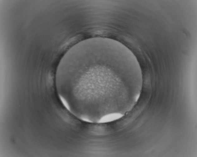 X0000113230282200910221046